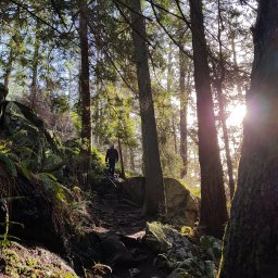 Dog Friendly Hikes around Vancouver