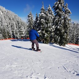 Our first month in Canada