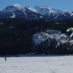 Our First House Sit Story