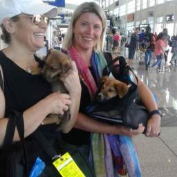 Travel Buddies – Saving Lives