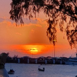 International Island – Koh Phangan Food Guide 2019