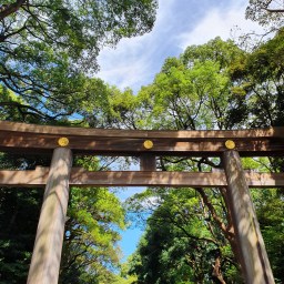 Exploring Japan – Part I