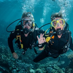 Diving Ningaloo