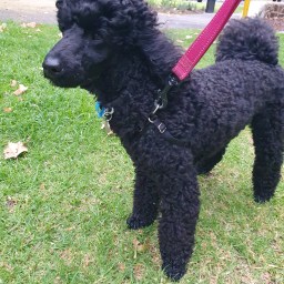 COVID19 and Life Update