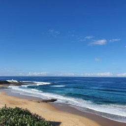 Newcastle our Safe Harbour