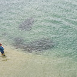 2020 Review and 2021 Plans