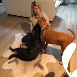 The Great Northern Escape