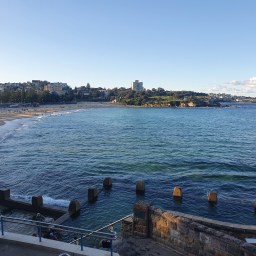 The magic of house-sitting