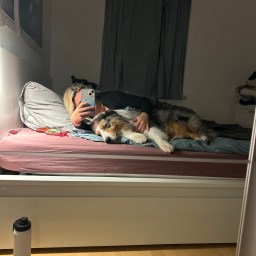 Snowy Austrian Adventures